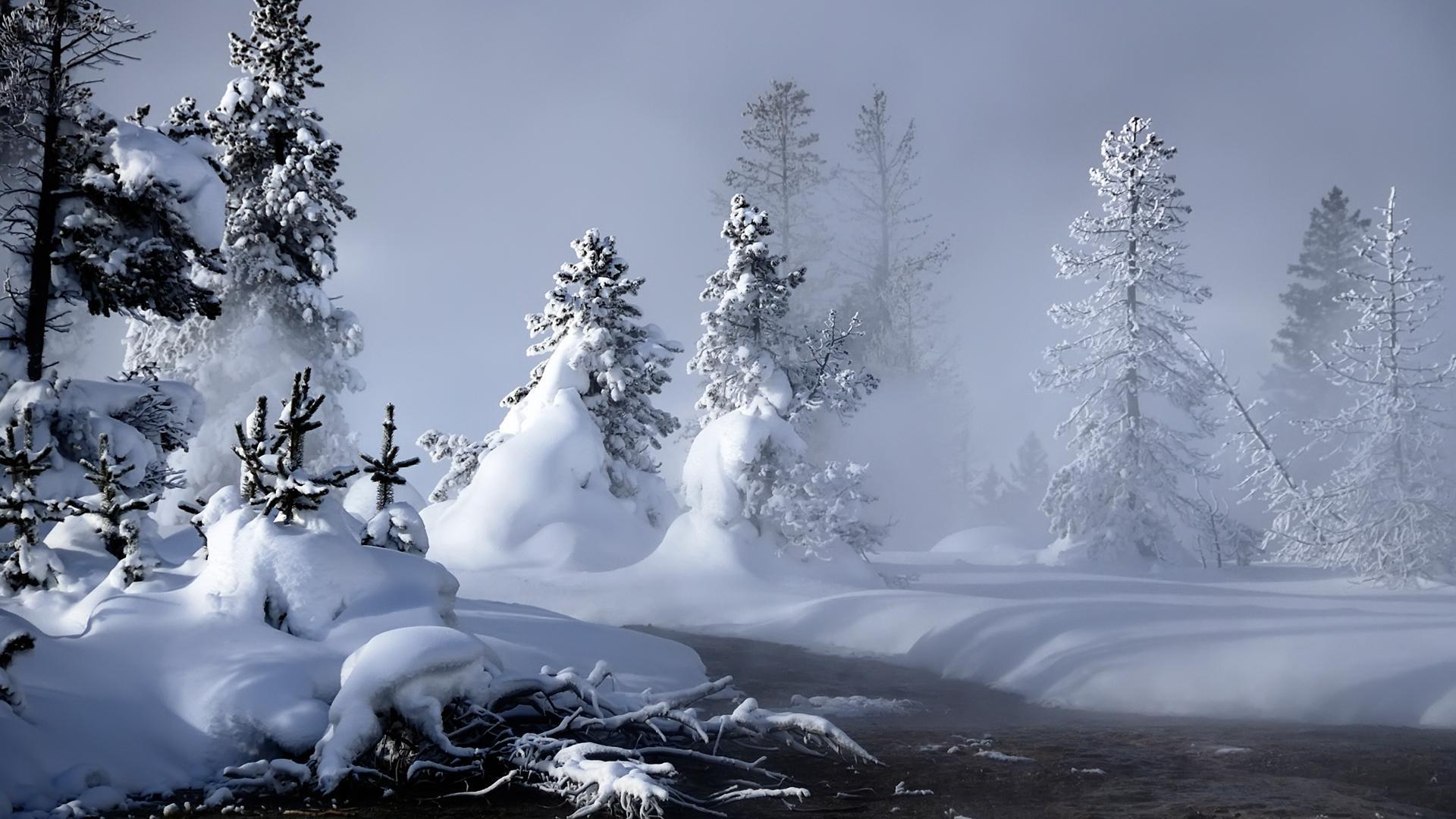 1920x1080 Winter Wallpaper 1920x1080