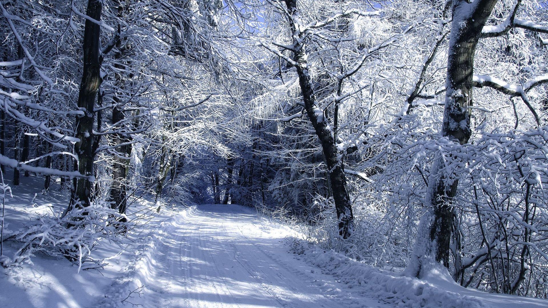 1920x1080 Download 1920x1080 HD Wallpaper road snow frost forest winter, Desktop Background HD