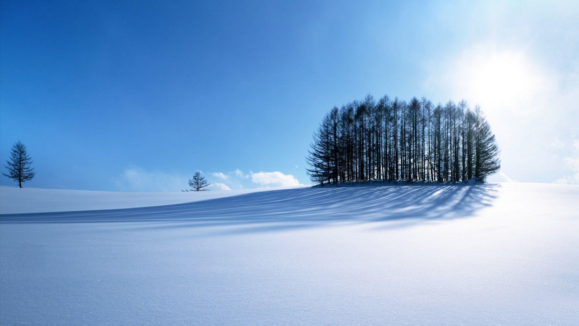 1920x1080 Winter Wallpaper HD