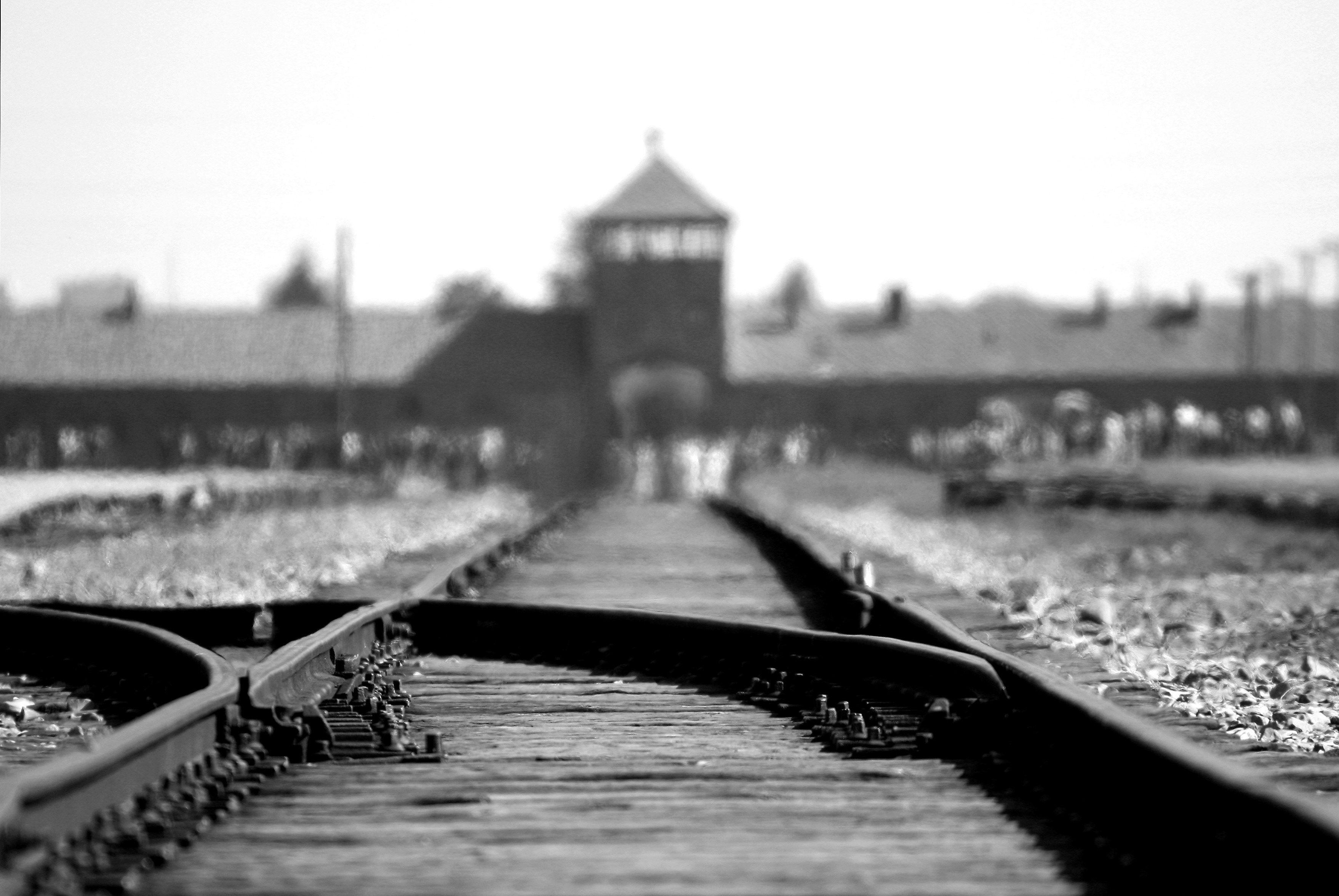 3515x2352 Wallpaper / birkenau auschwitz concentration camp holocaust 4k wallpaper