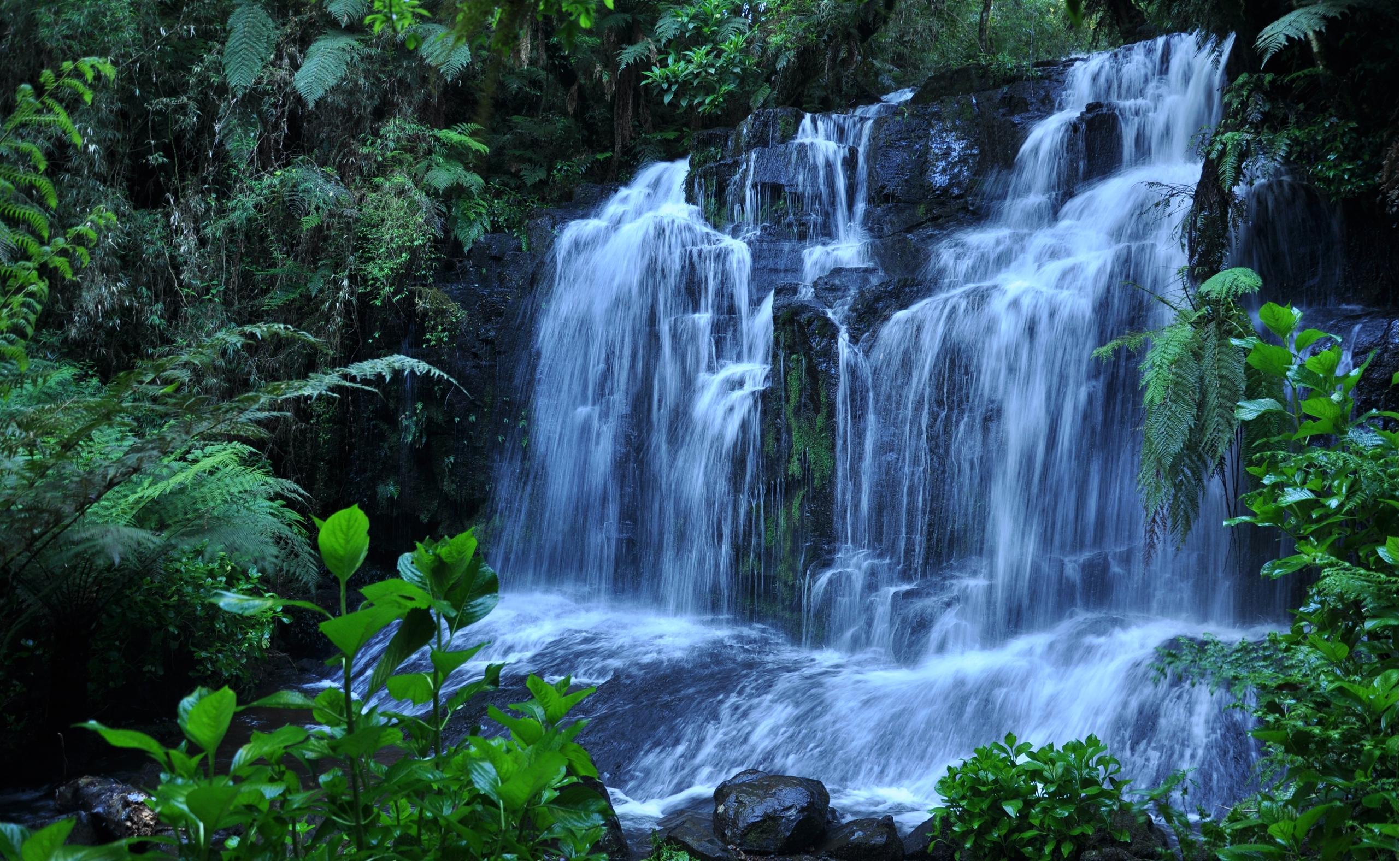 2562x1576 Fresh Beautiful Nature Scene Wallpaper