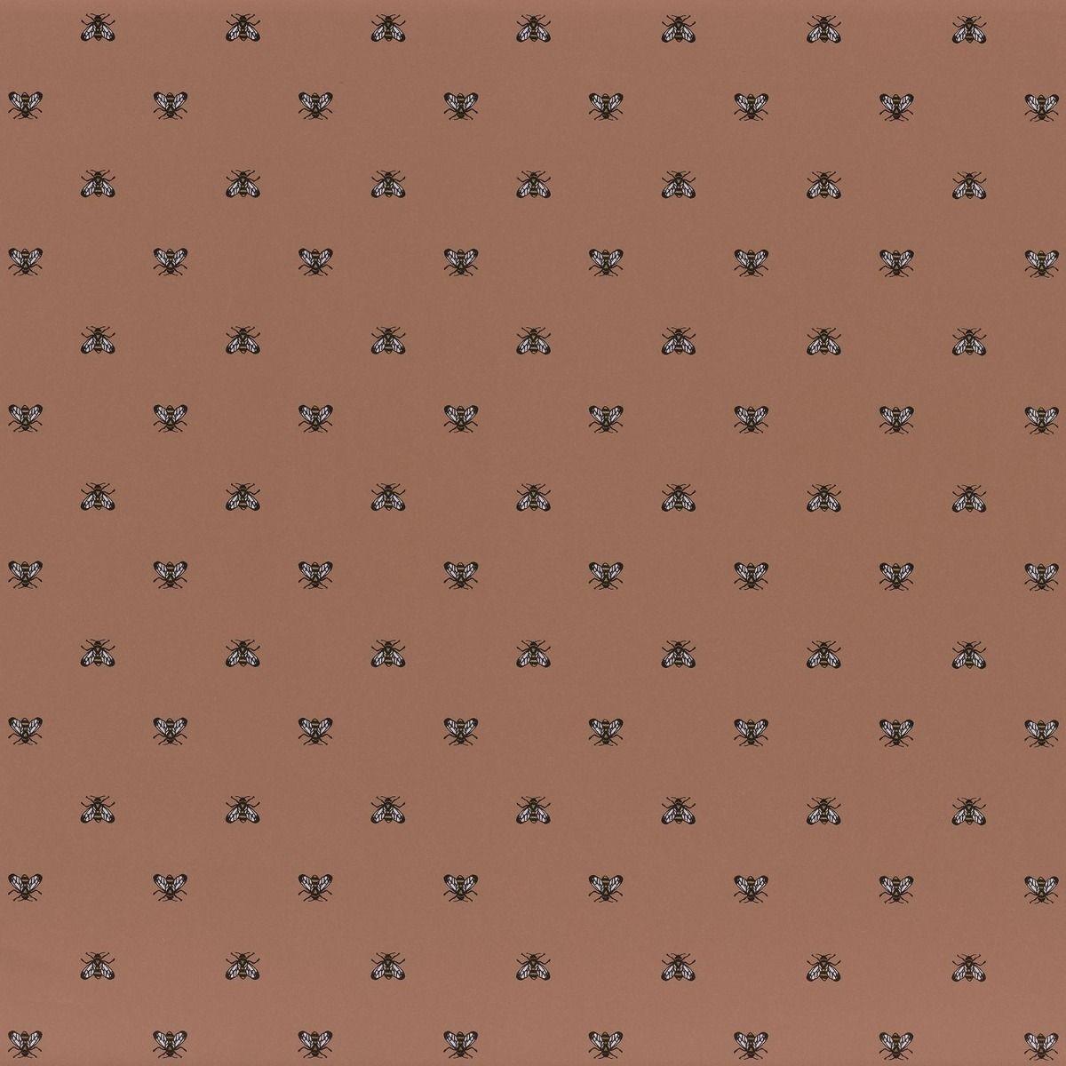 Terracotta Wallpapers - Top Free Terracotta Backgrounds - WallpaperAccess