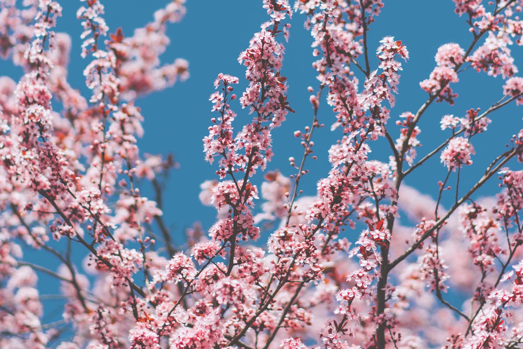 Cozy Spring Wallpapers - Top Free Cozy Spring Backgrounds - WallpaperAccess