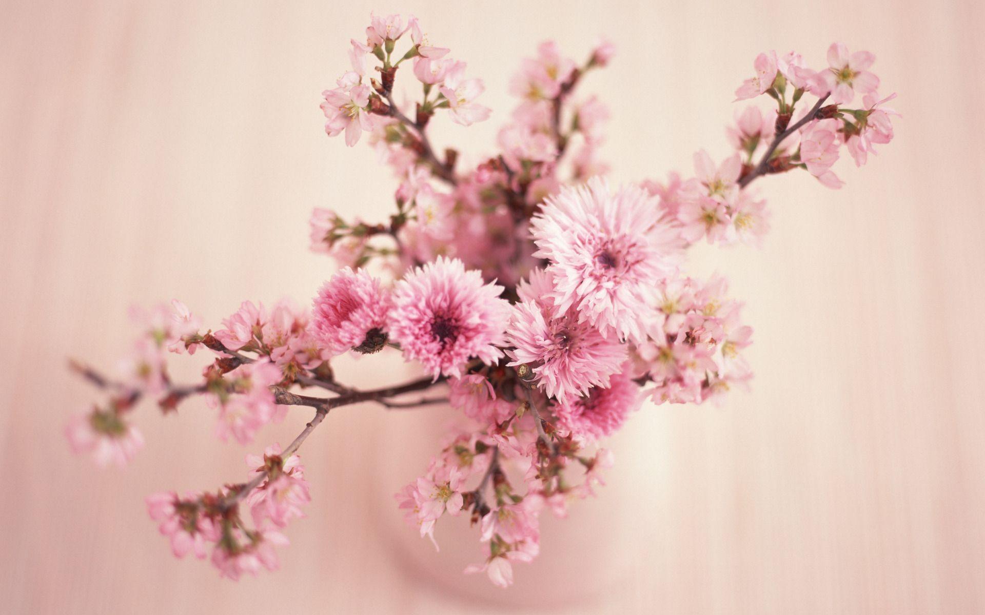 1920x1200 Vintage Floral Computer Wallpaper