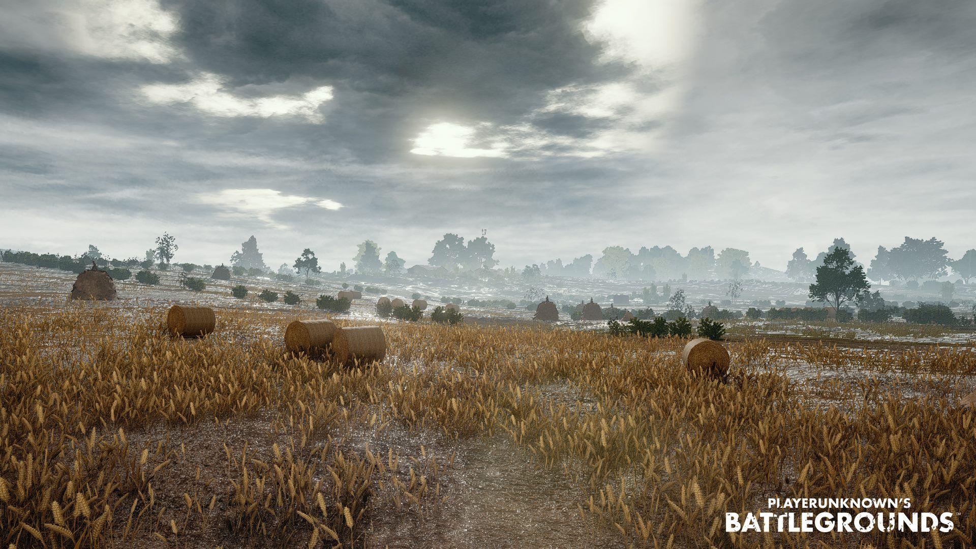 1920x1080 Playerunknown's Battlegrounds Background's Battlegrounds Pubg Background HD Wallpaper