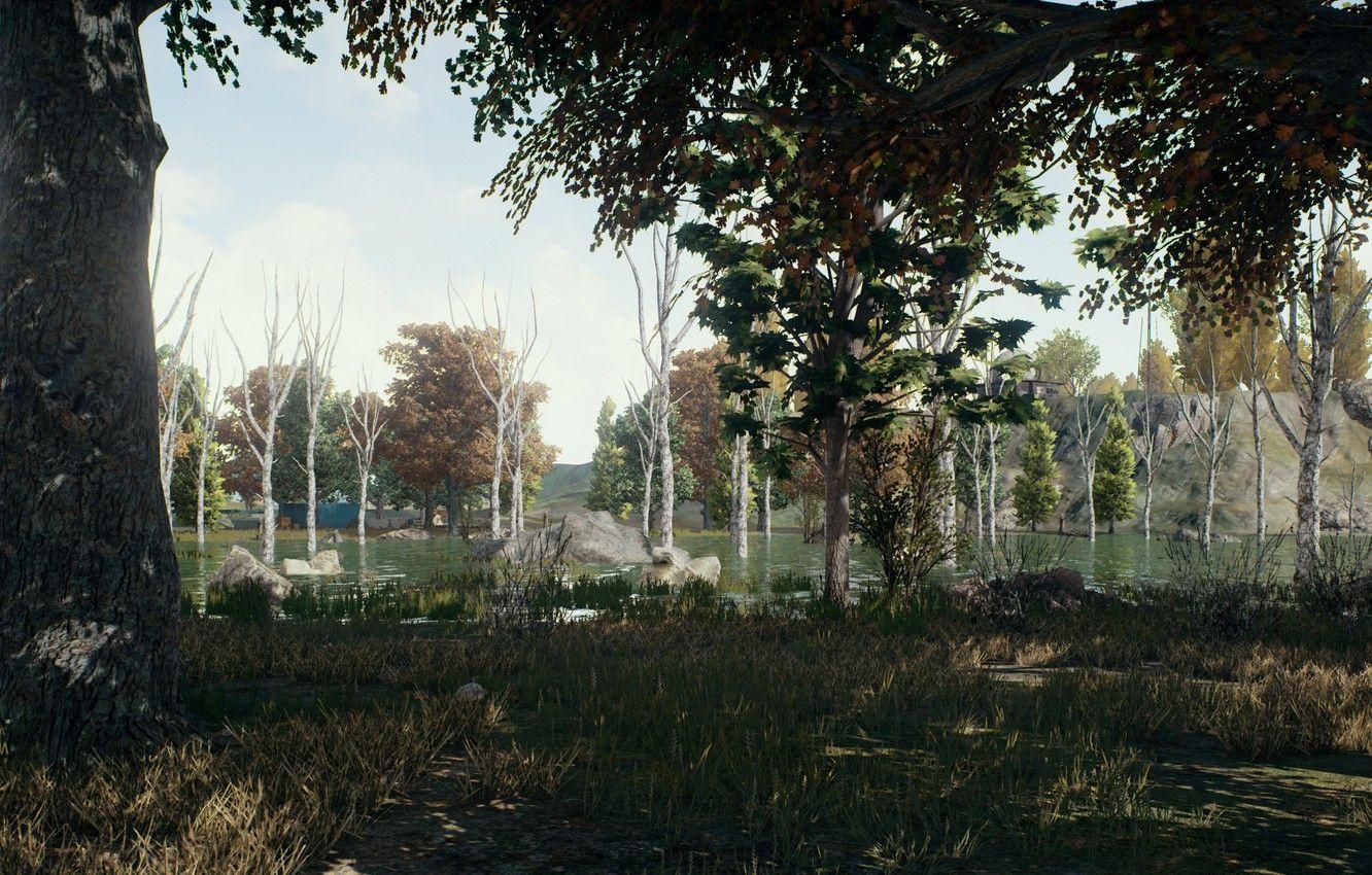1332x850 Wallpaper games, gaming, Playerunknown's Battlegrounds image for desktop, section игры