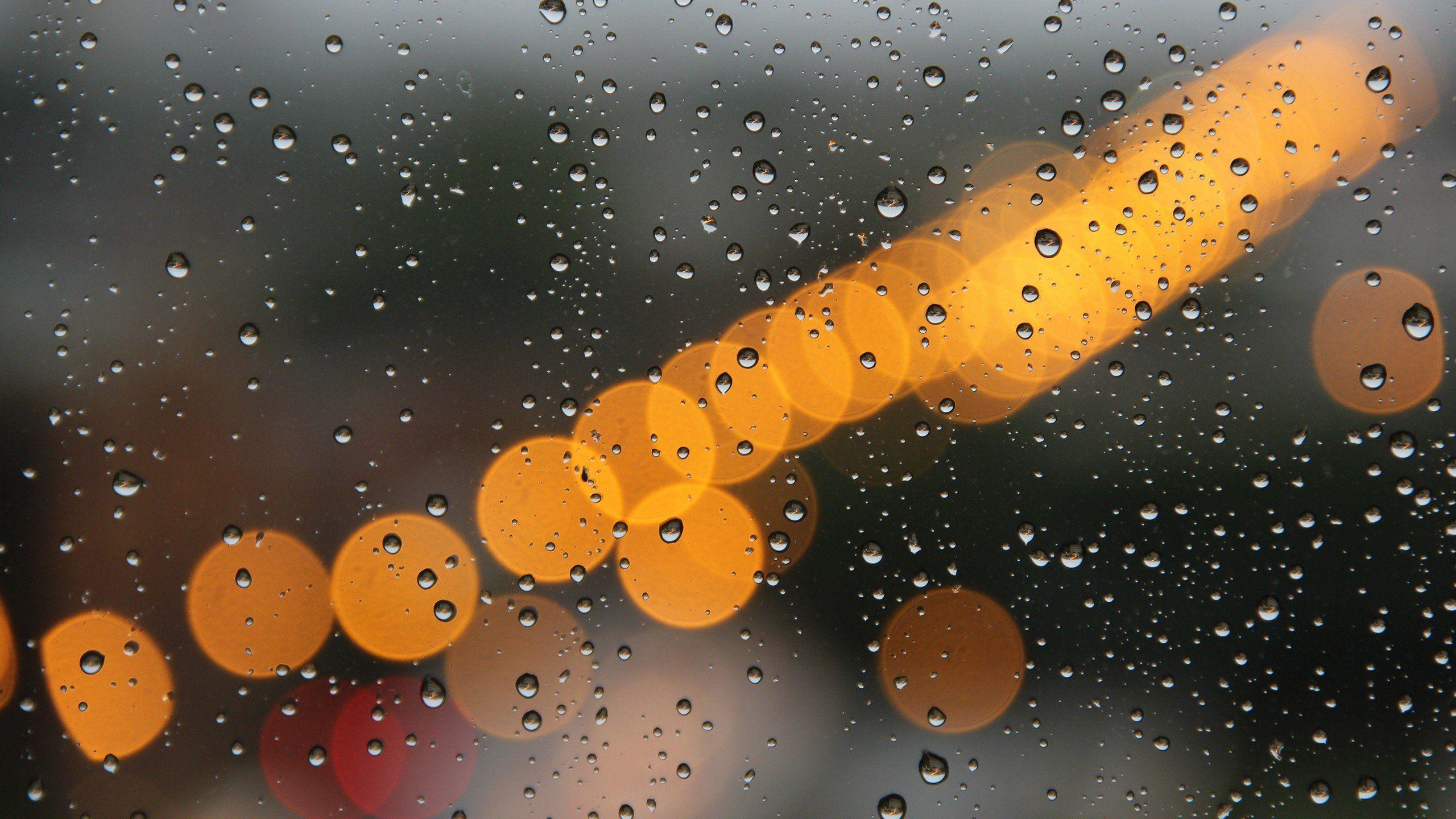 2560x1440 Water Close Up Lights Macro Raindrops Drops Wallpaperx1440