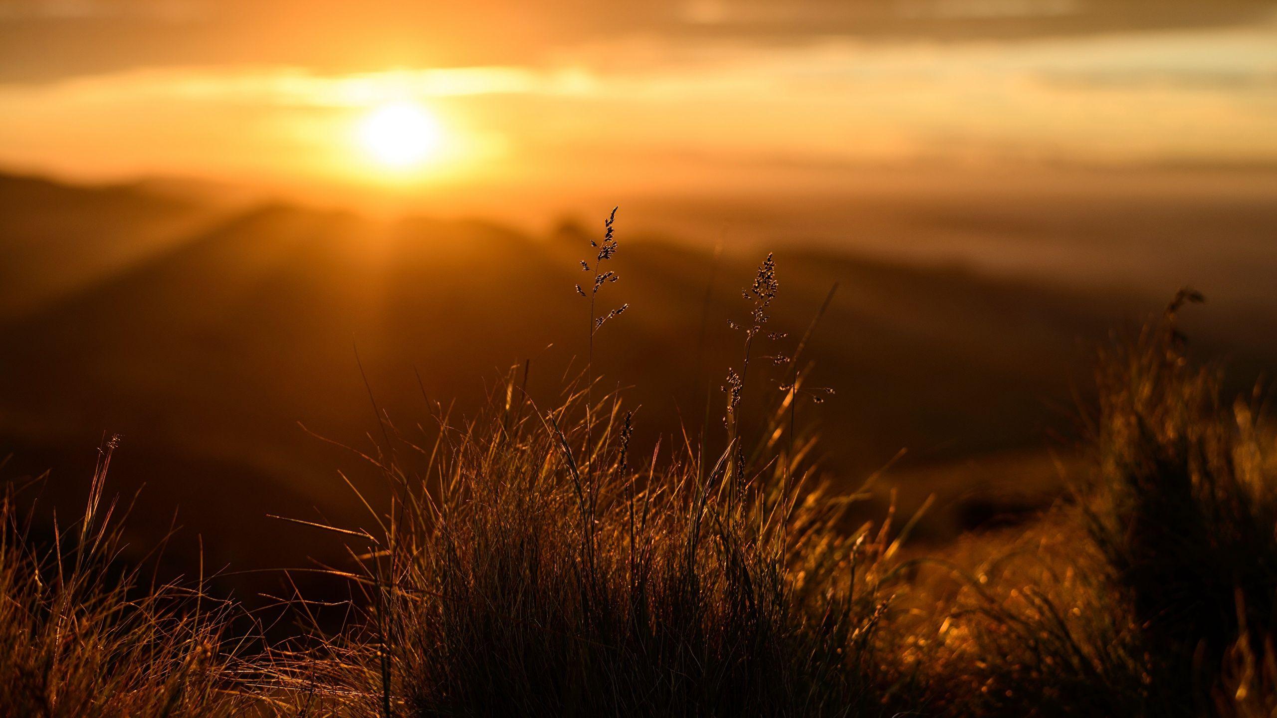 2560x1440 Picture Rays of light Bokeh Nature Sunrises and sunsets 2560x1440
