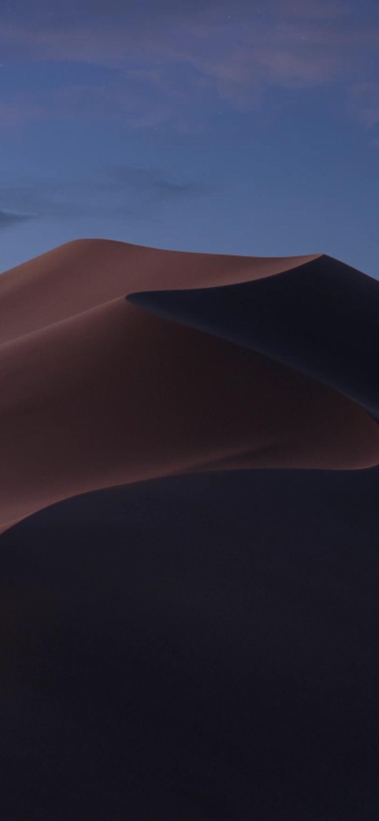 1242x2688 MacOS Mojave Wallpaper