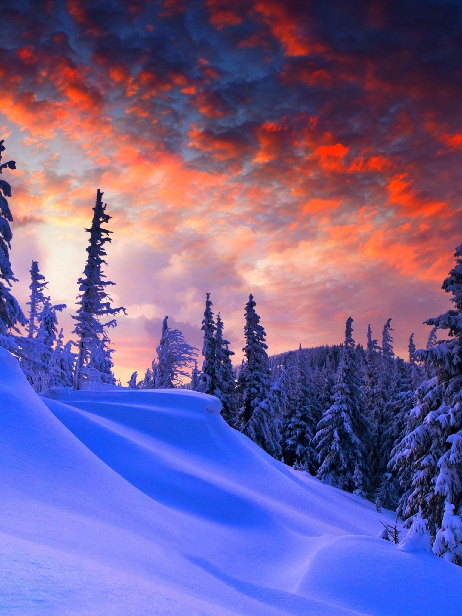 1536x2048 8k Wallpaper For Pc Christmas Winter 80259 HD Wallpaper Ultrawide HD Wallpaper