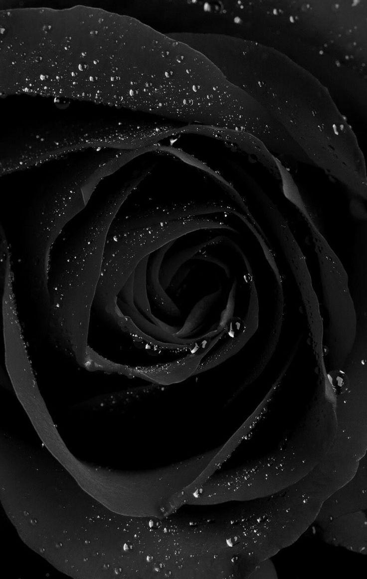 Featured image of post Lock Screen Black Wallpaper Iphone 6 Black wallpaper iphone sad wallpaper emoji wallpaper tumblr wallpaper screen wallpaper mobile wallpaper wallpaper quotes wallpaper backgrounds black roses wallpaper