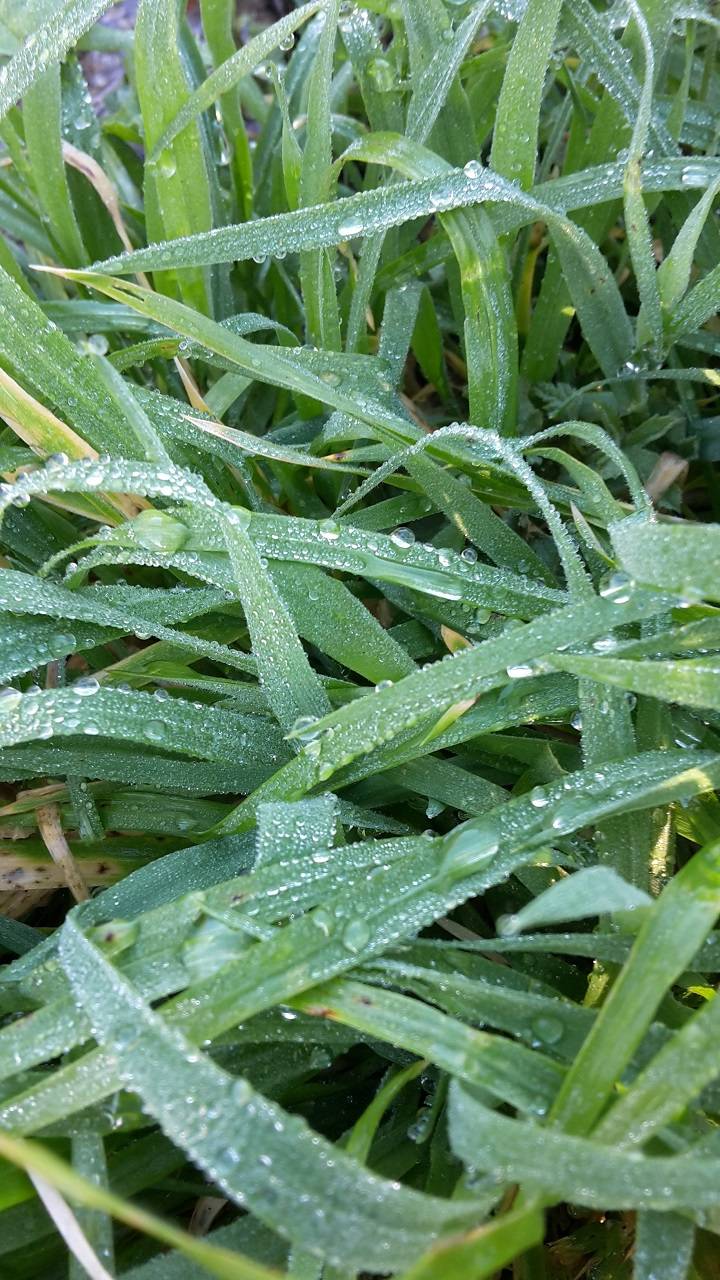 720x1280 humidity wallpaper