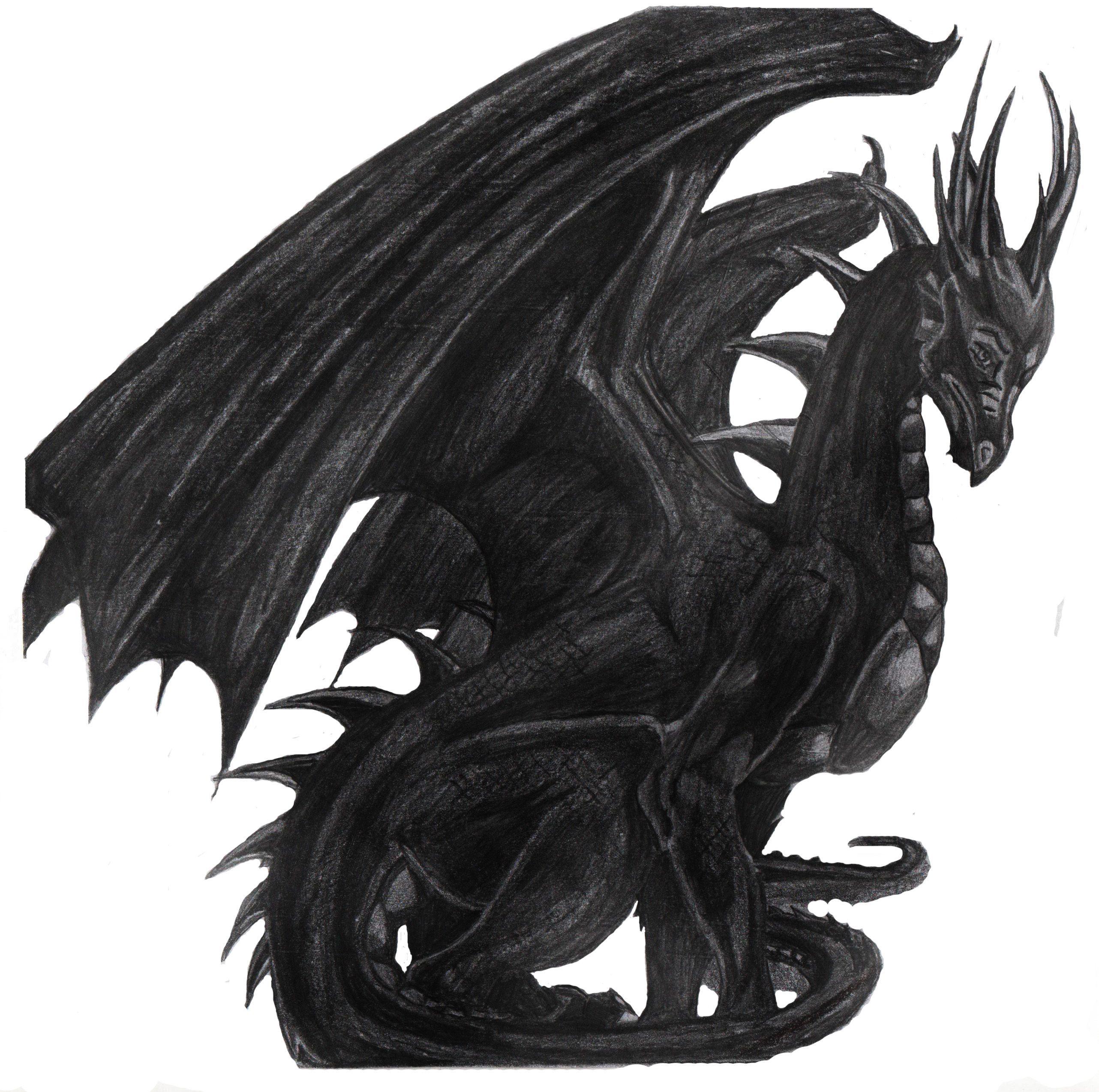2564x2548 Black Dragon Wallpaper HD