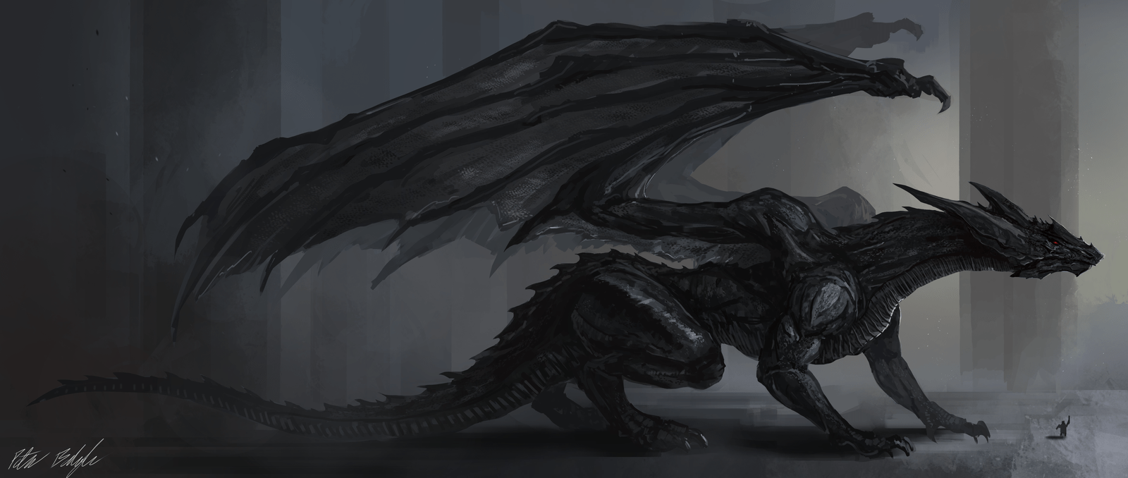 1600x678 Black And White Dragon Wallpaper