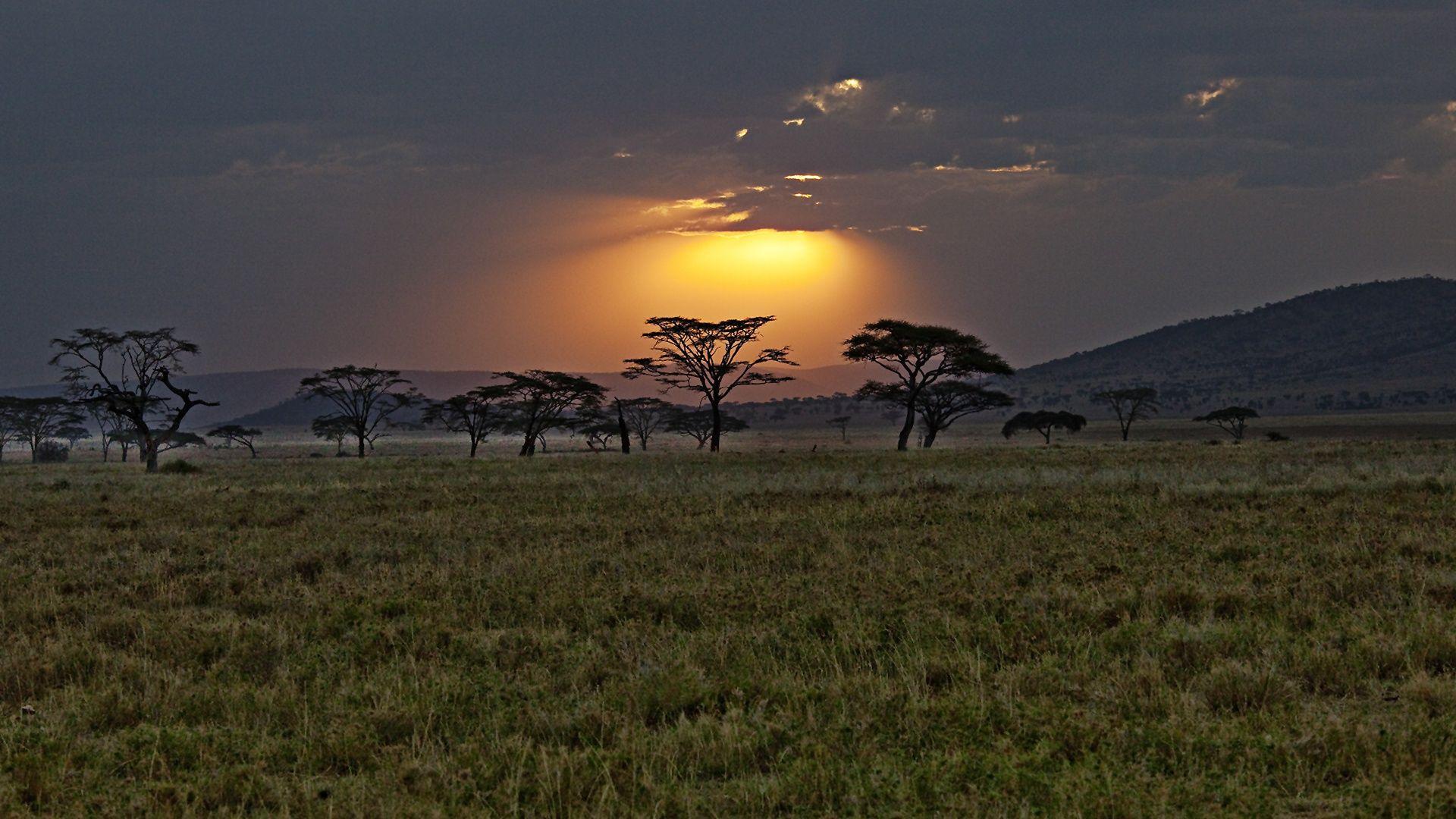 1920x1080 HD Africa Wallpaper For Desktop And Mobile