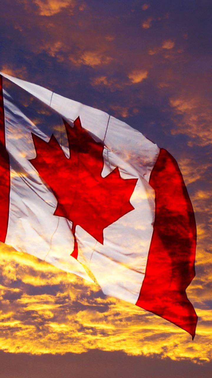 720x1280 Canada Flag Waving wallpaper