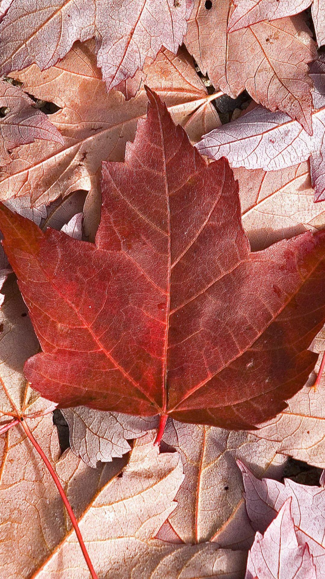 1080x1920 Canada Flag Wallpaper