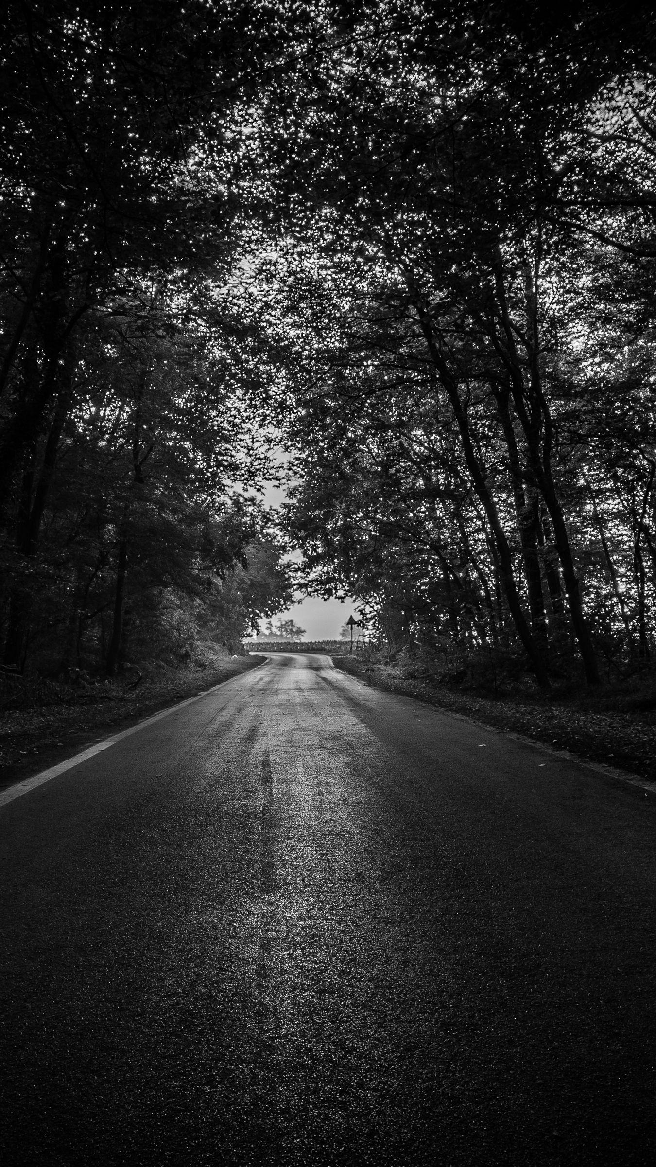 1350x2400 Wallpaper Road, Trees, Bw, Dark, Forest Dark Forest Wallpaper HD Wallpaper & Background Download