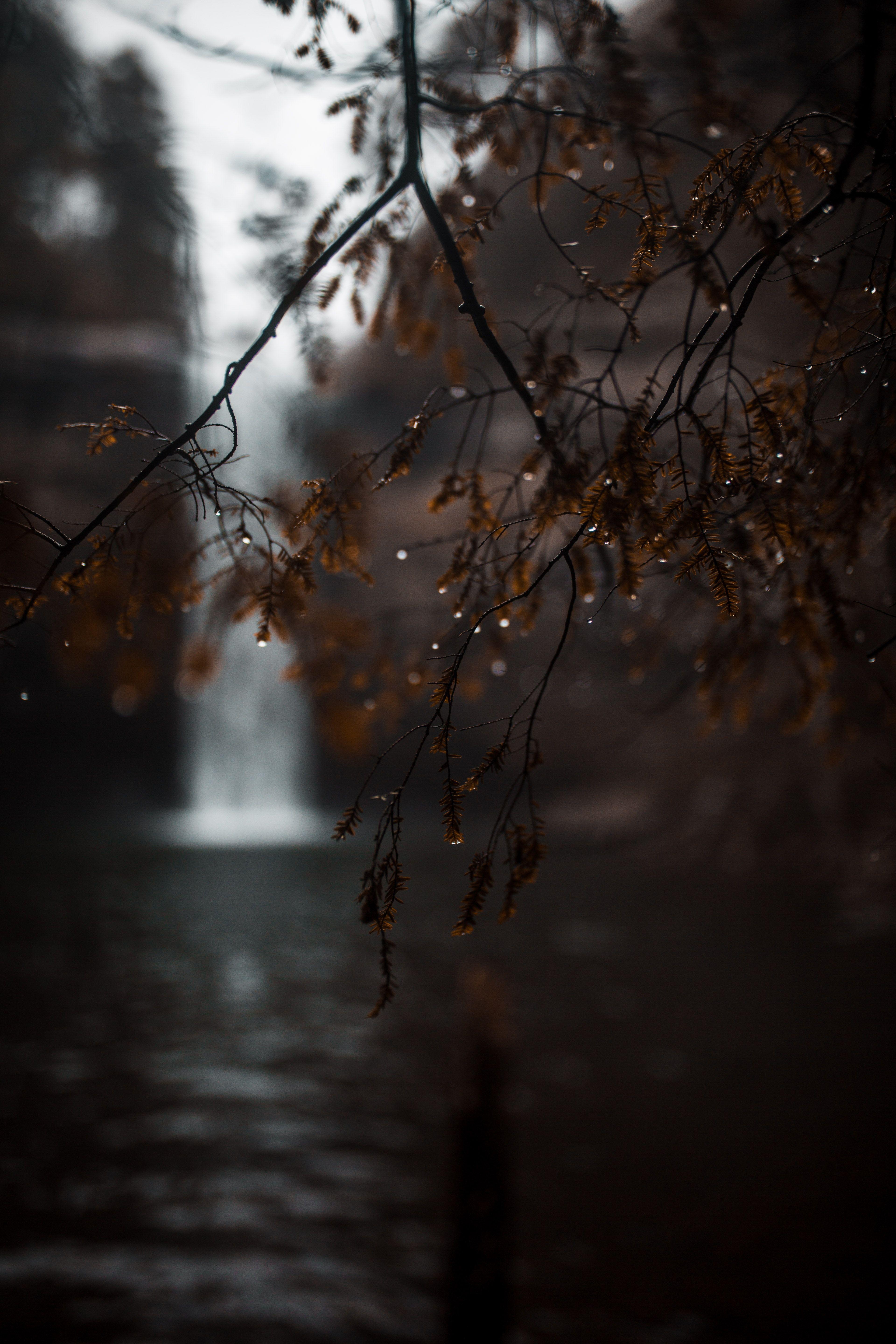 3840x5760 iPhone wallpaper best free iphone wallpaper, wallpaper, background and outdoor photo