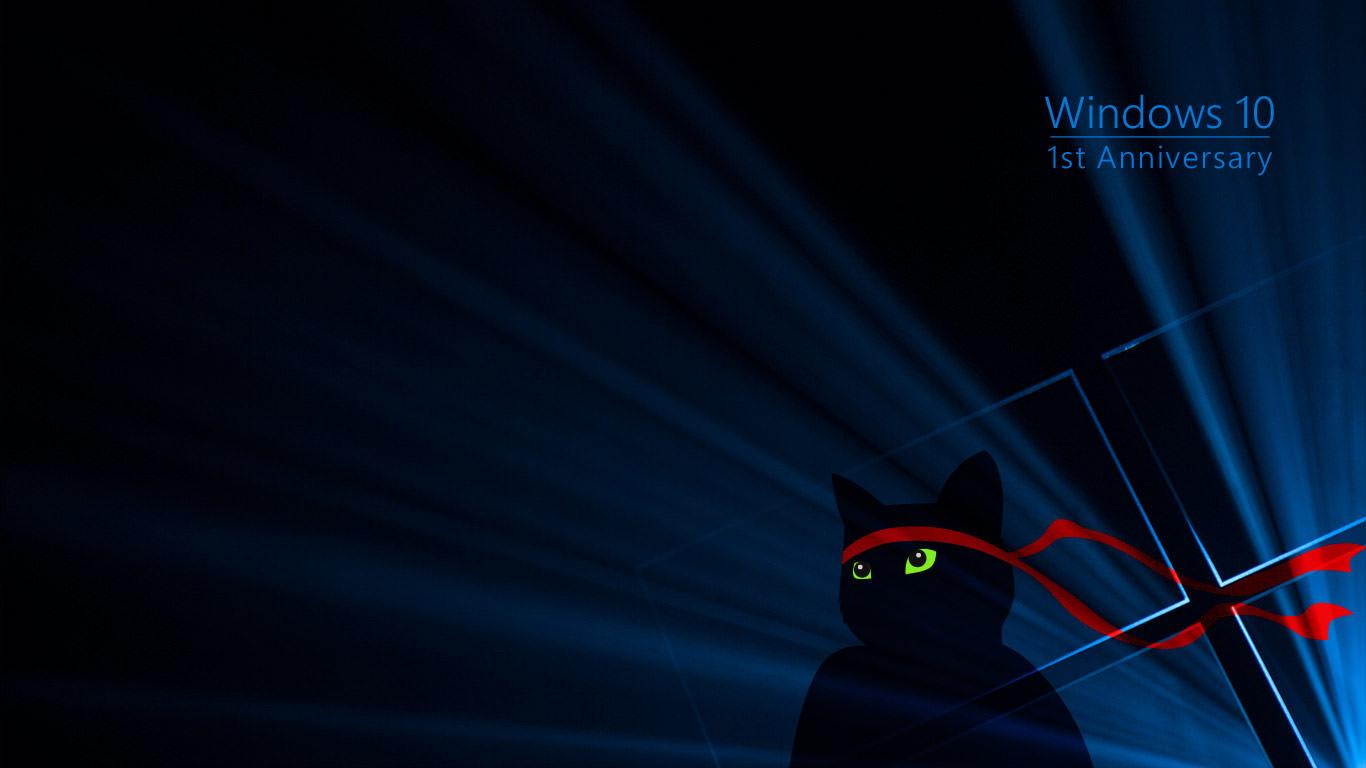 1366x768 Windows 10 Ninja Cat wallpaper