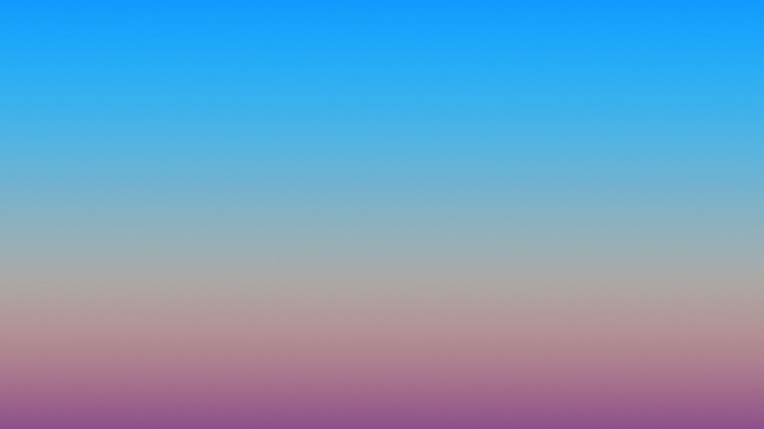2560x1440 Galaxy Tab S4 HD Wallpaper