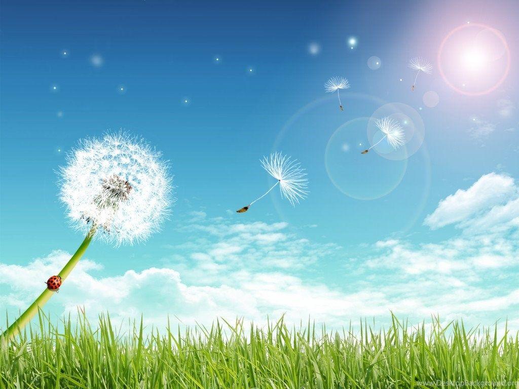 1024x768 Hot Summer Wallpaper HD In The Praire Desktop Background