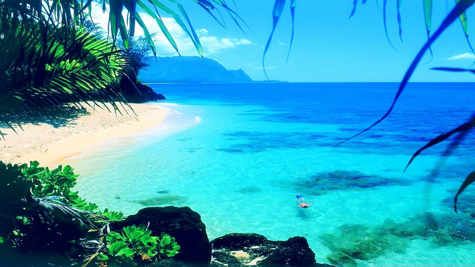 1920x1080 Summer 2018 Wallpaper