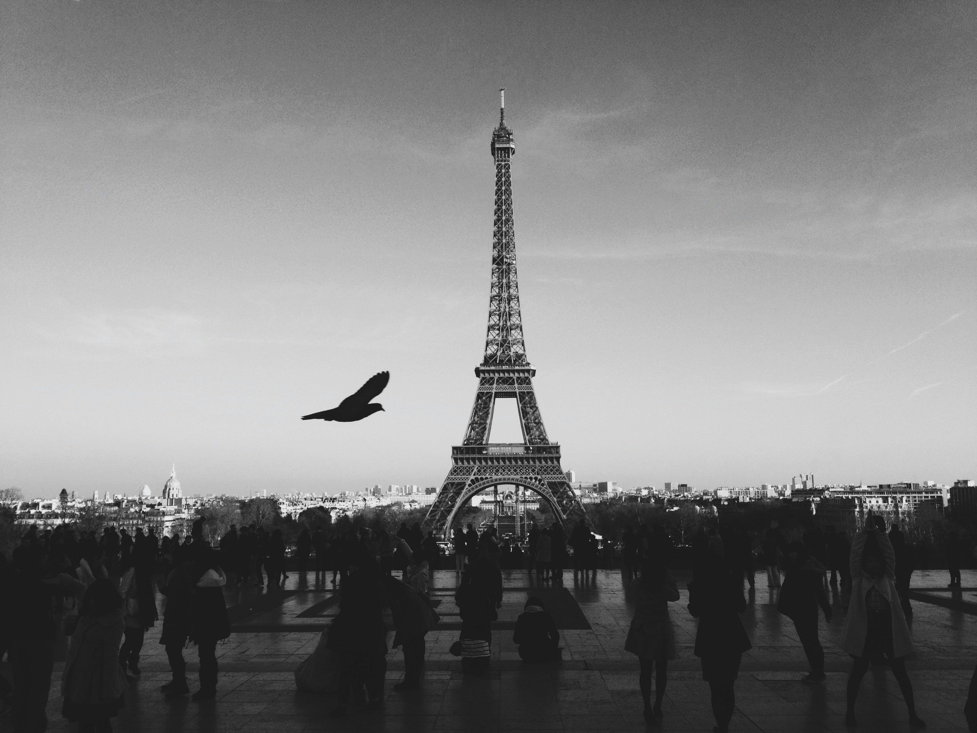 3264x2448 Black And White City Picture. Download Free Image