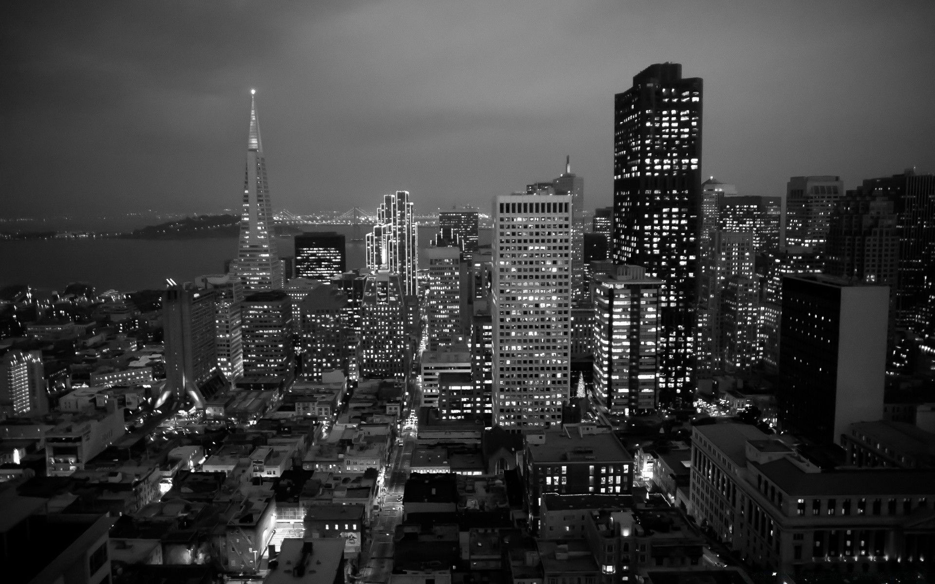 1920x1200 The Beauty Of The Night City In Black And