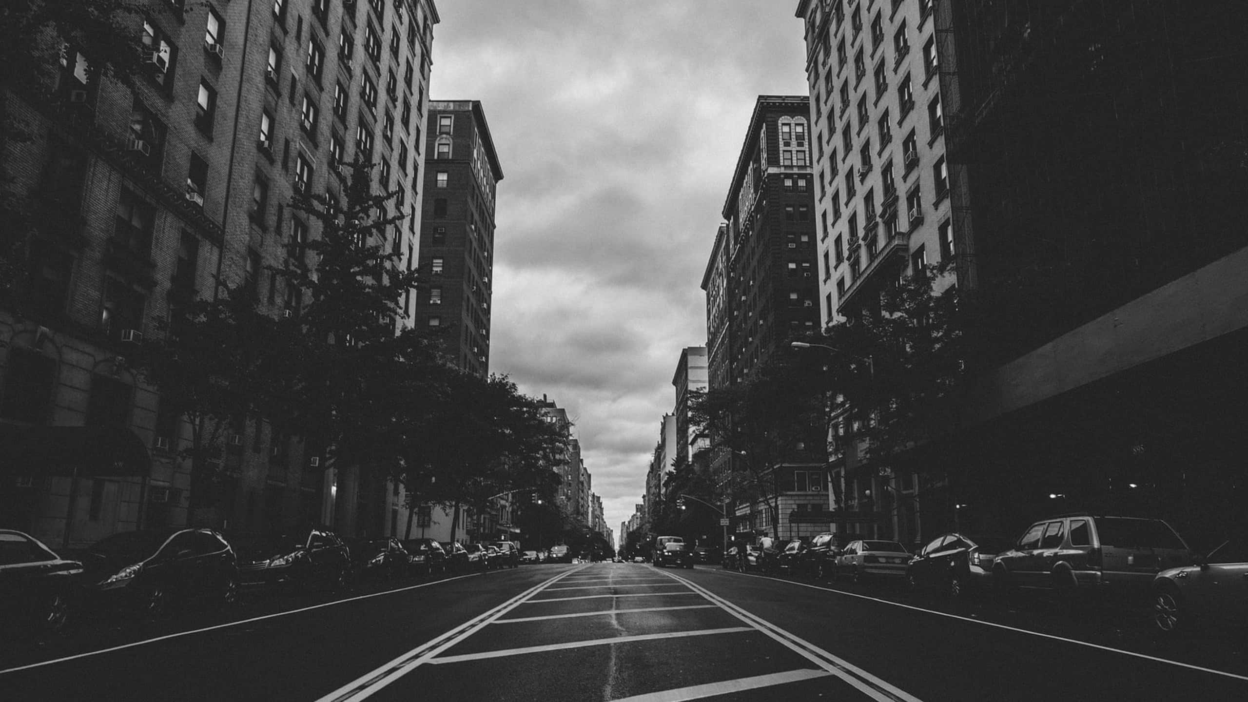 2560x1440 Download A shimmering, enchanting black and white cityscape. Wallpaper