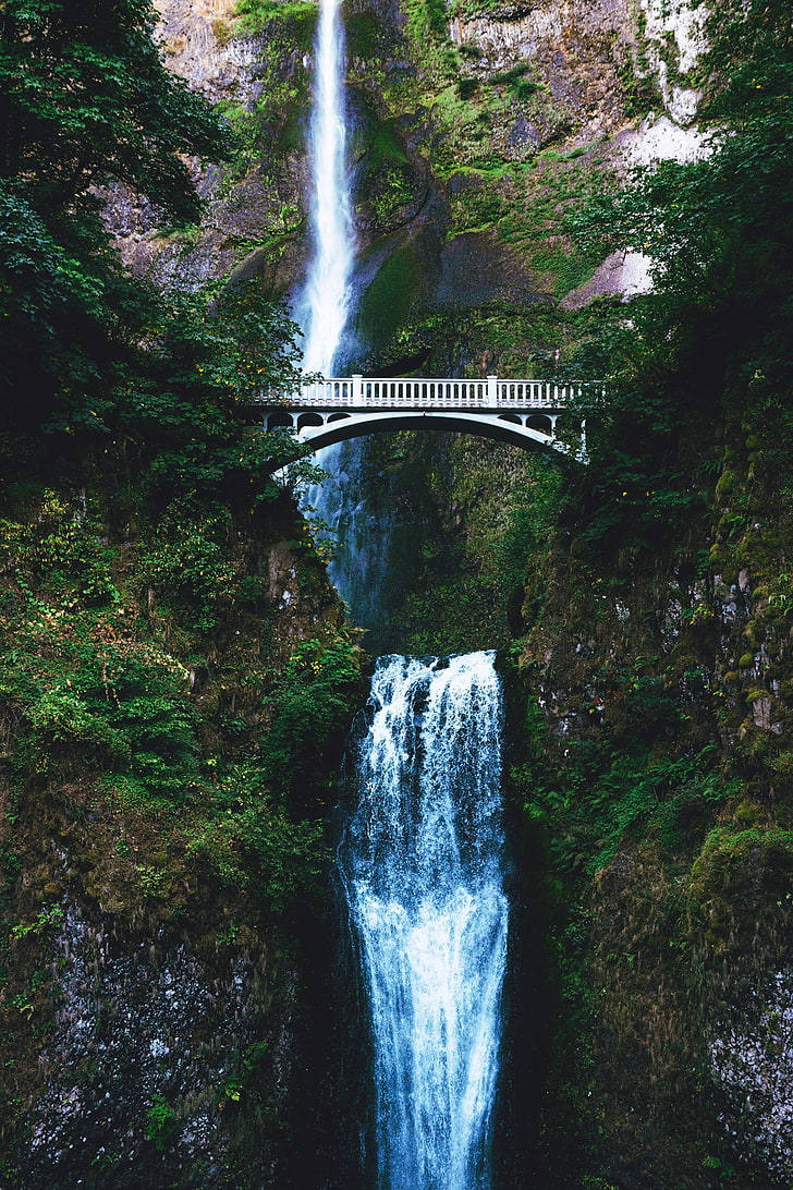 728x1092 HD wallpaper: waterfall, nature, bridge, trees