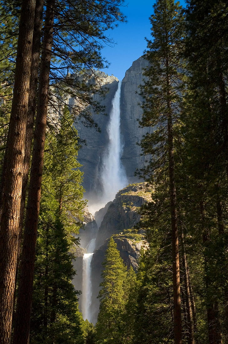 728x1098 HD wallpaper: waterfall beside trees during daytime, Upper, Lower, Yosemite Falls