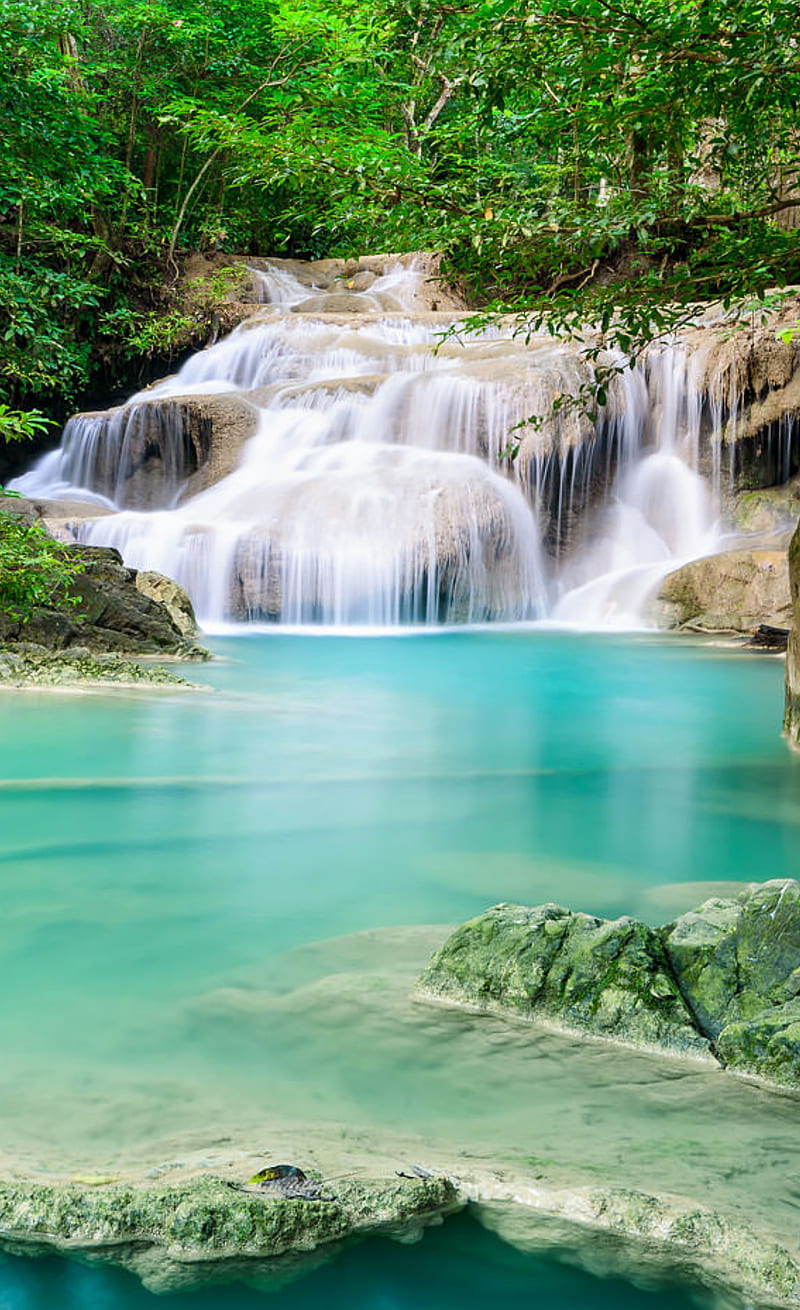 800x1310 Tropical Waterfall, waterfall, tropical, getaway, sun, water, landscape, green, HD phone wallpaper