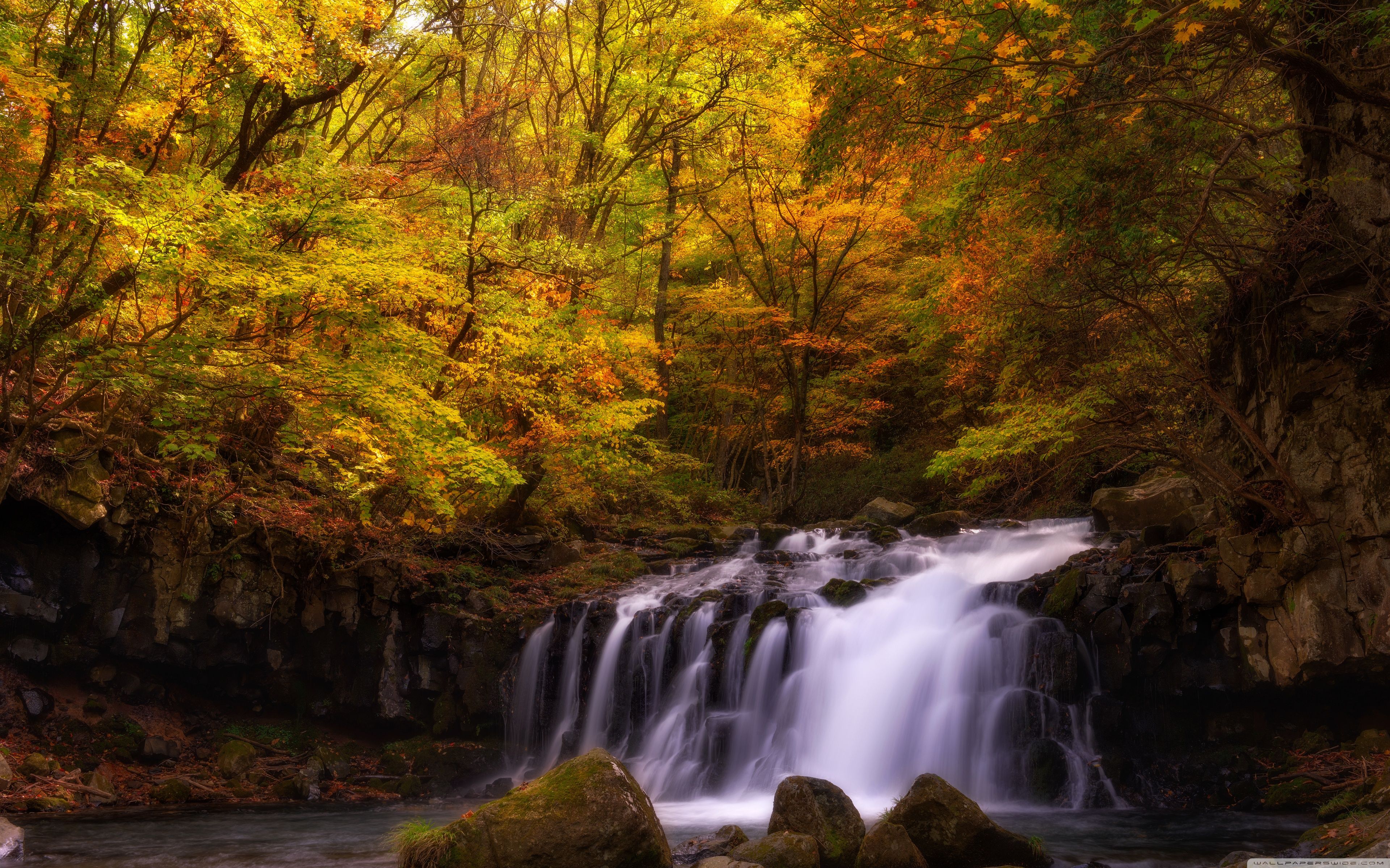 3840x2400 4k Autumn Dual Monitor Wallpaper