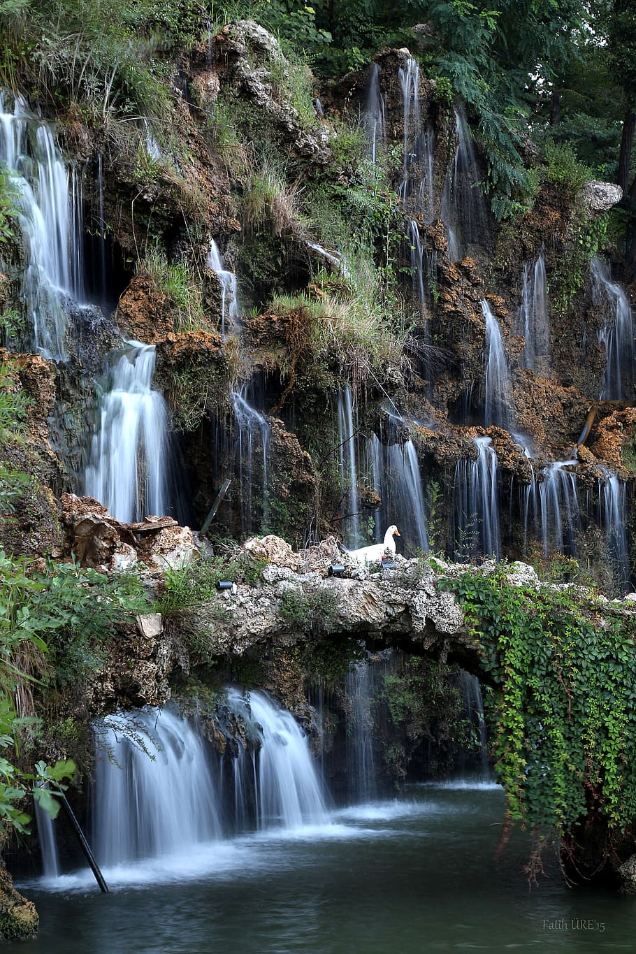 910x1365 HD wallpaper: waterfall, duck, swan, view, landscape, park, istanbul, scenics
