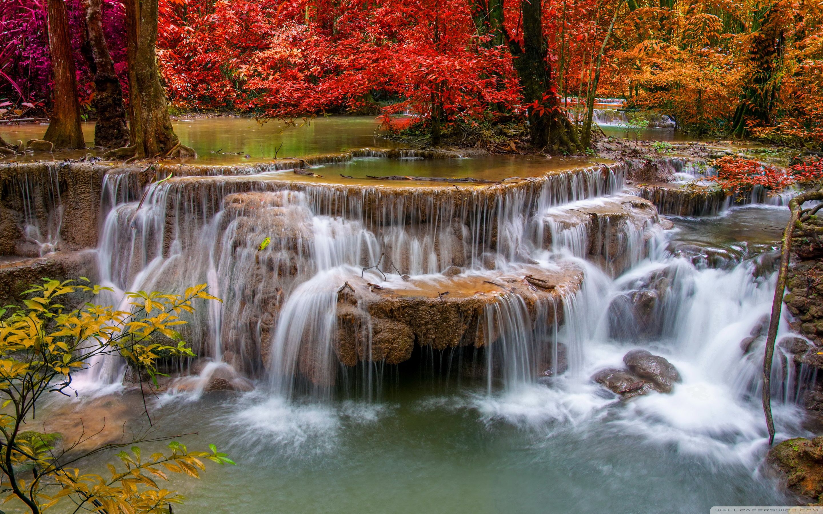 2880x1800 Waterfall, Red Trees 4K UHD Wallpaper for UltraHD Desktop and TV : Dual Monitor : Smartphone and Tablet Devices