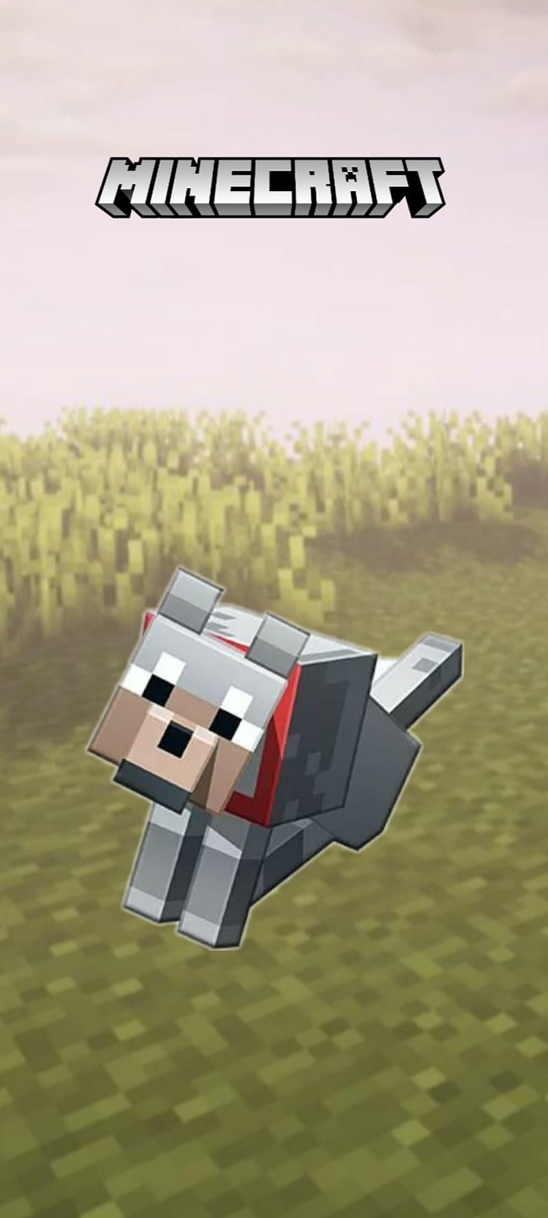 800x1778 HD minecraft dog wallpaper