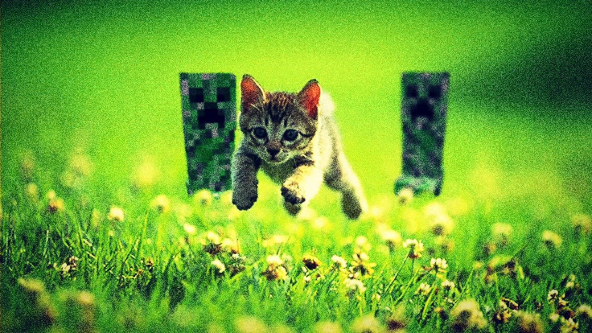 1920x1080 