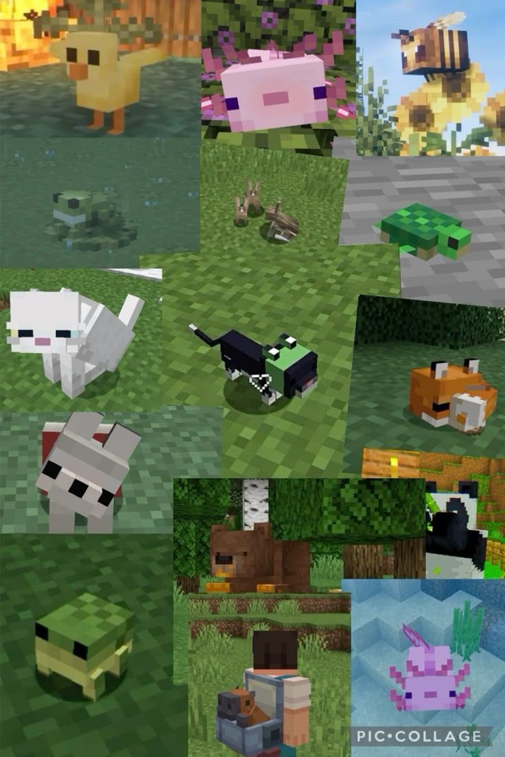 736x1104 Minecraft Animal Wallpaper. How to craft minecraft animals, Minecraft animal collage, Minecraft animal skin ideas