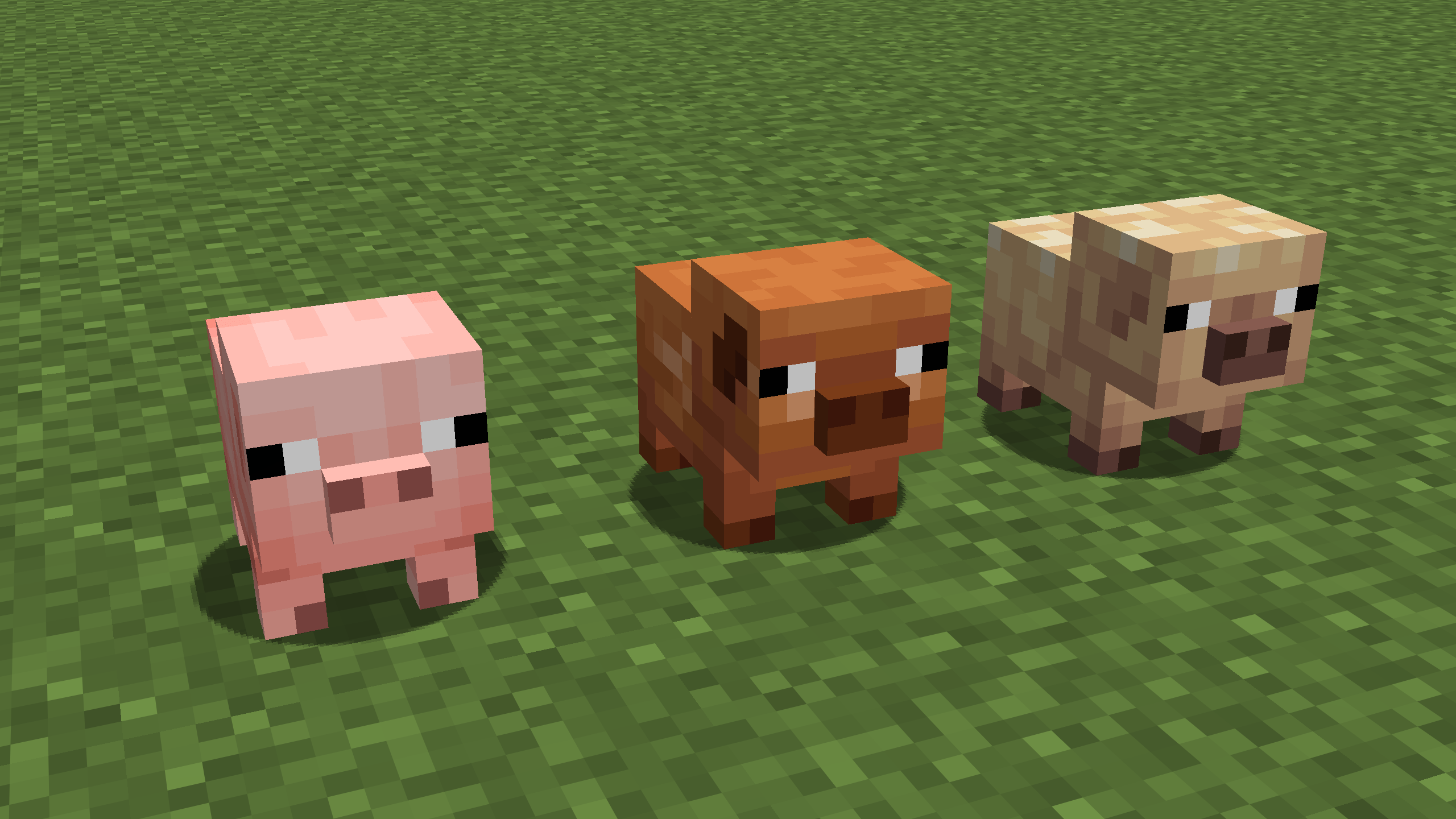 2560x1440 My personal edit of baby animals