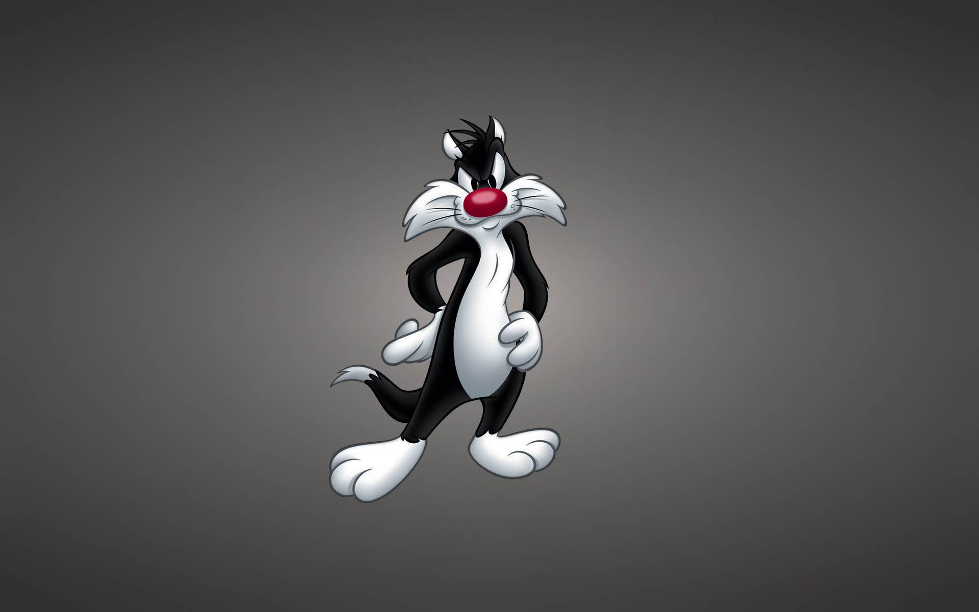 Looney Tunes Basketball Wallpapers - Top Free Looney Tunes Basketball
