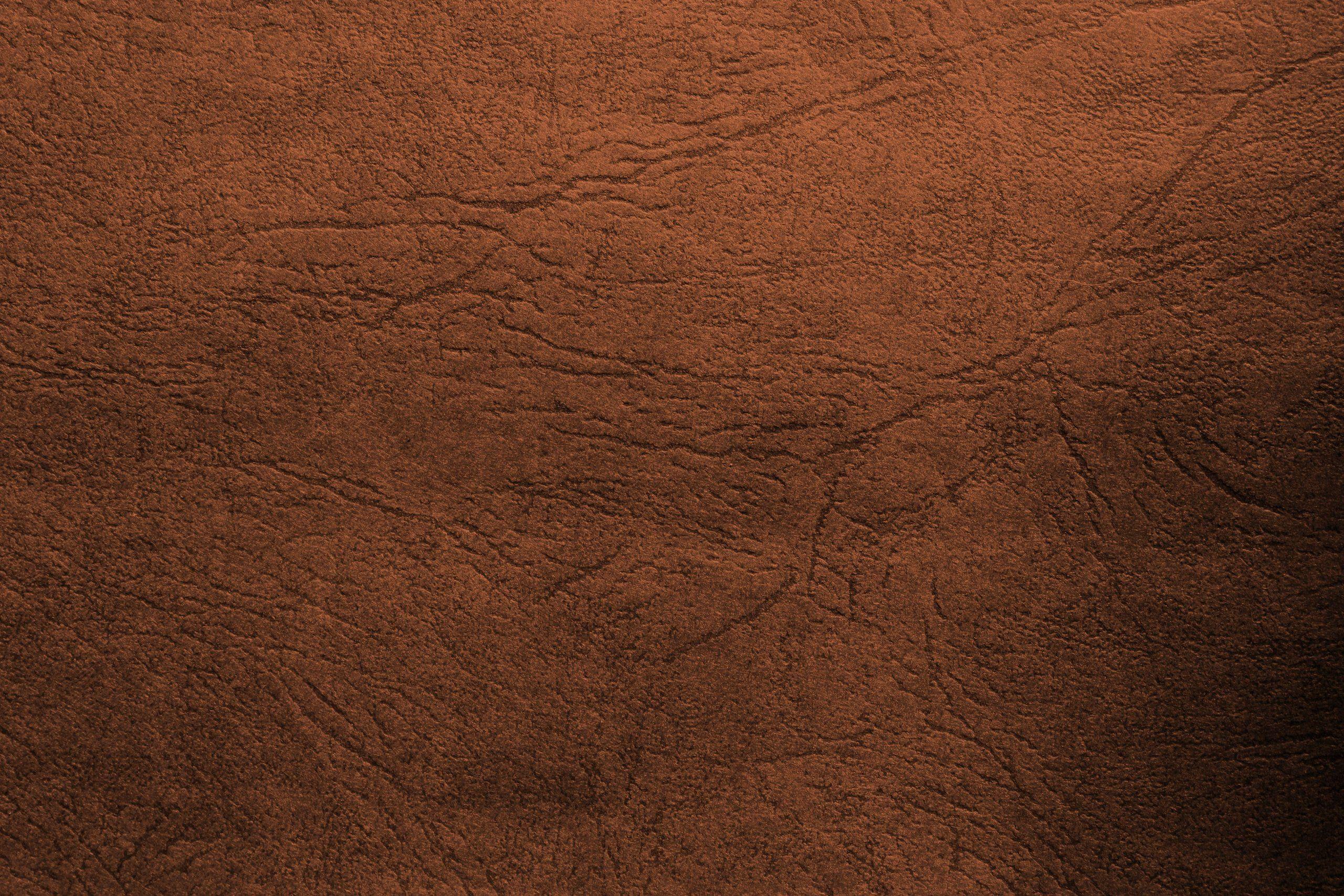 2560x1707 ⇒ Brown Wallpaper