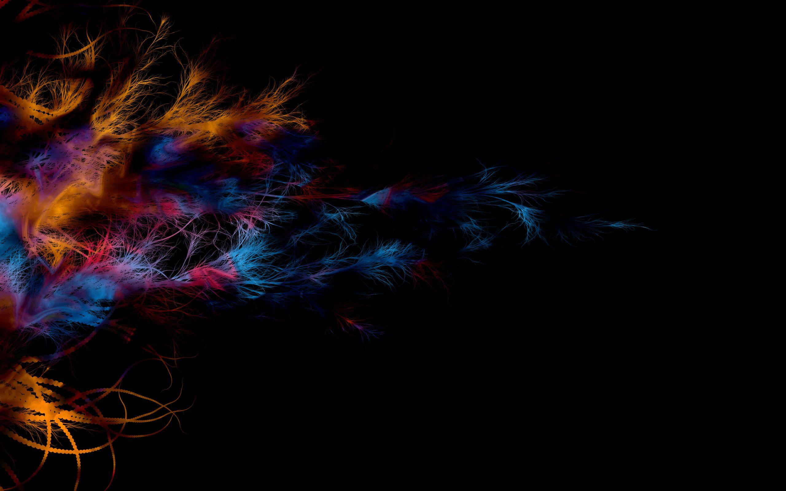 Black Peacock Wallpapers - Top Free Black Peacock Backgrounds