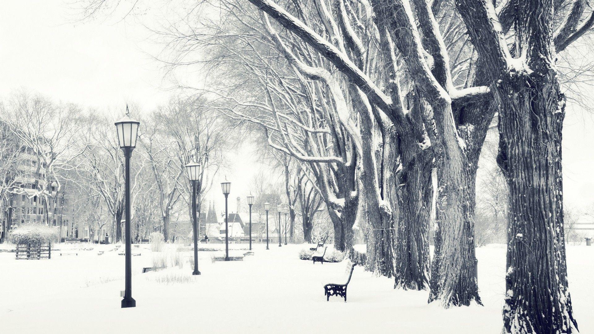 1920x1080 High Resolution Winter Desktop Background