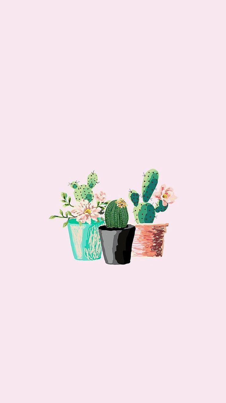 736x1309 Aesthetic Cactus Wallpaper