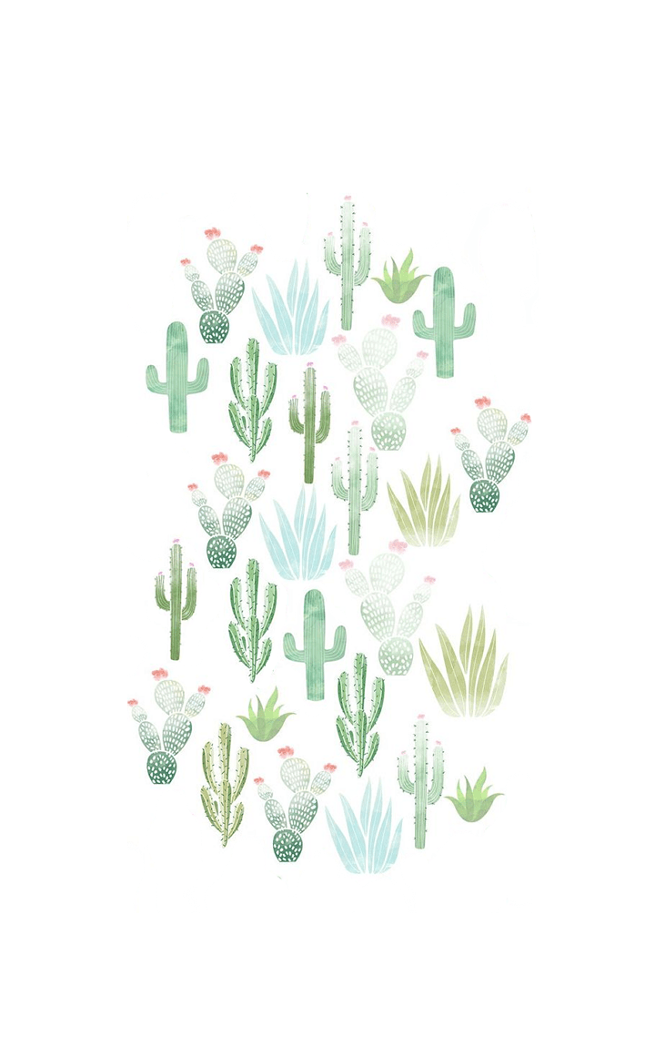 Pretty Cactus Wallpapers - Top Free Pretty Cactus Backgrounds ...