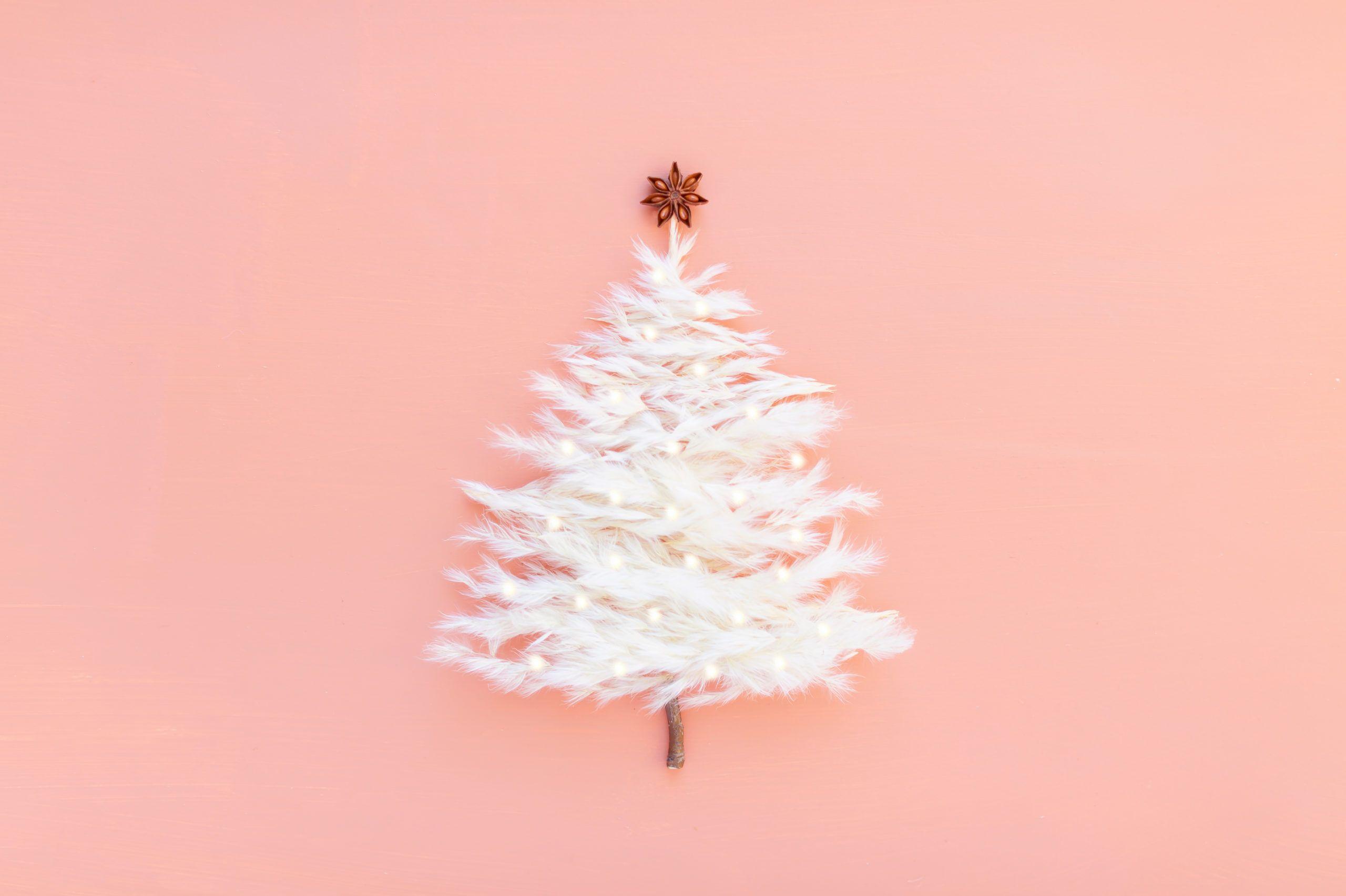 2560x1705 DIGITAL BLOOMS DECEMBER 2020. FREE DESKTOP WALLPAPER