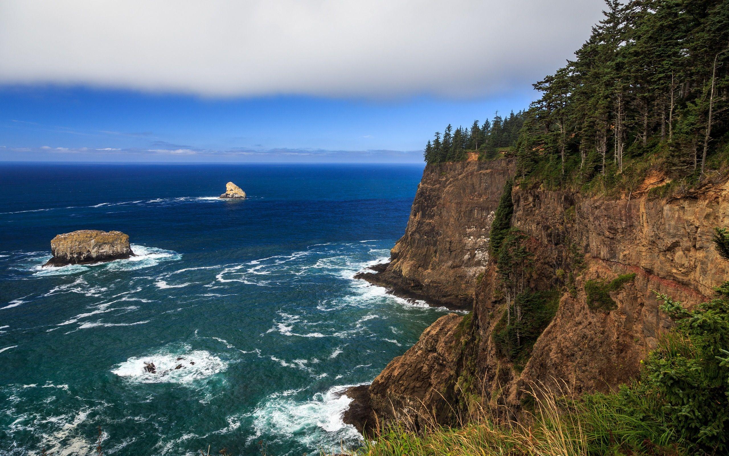 2560x1600 Wallpaper Oregon Coast, coast, forest, ocean, rocks, usa desktop wallpaper Nature