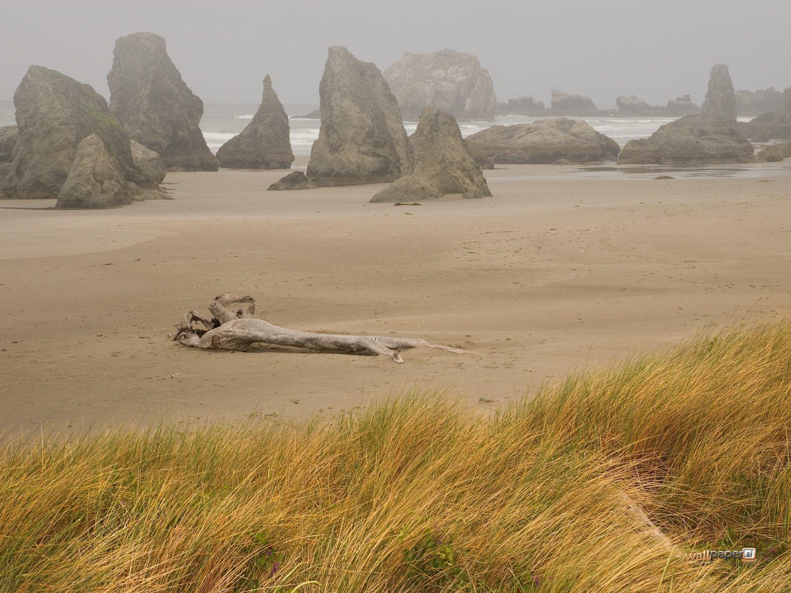 1600x1200 Bandon Wallpaper. Oregon Wallpaper. Southern oregon coast, Oregon coast, Beach wallpaper