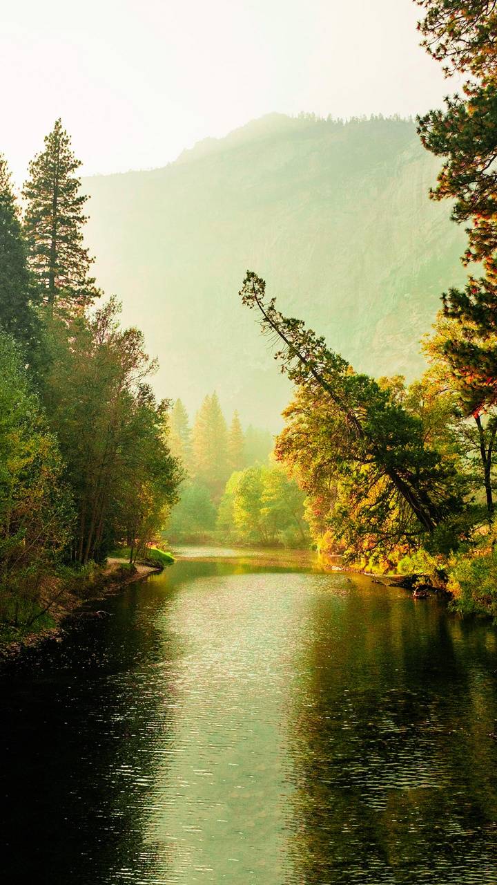 Super HD Nature Wallpapers Top Free Super HD Nature Backgrounds